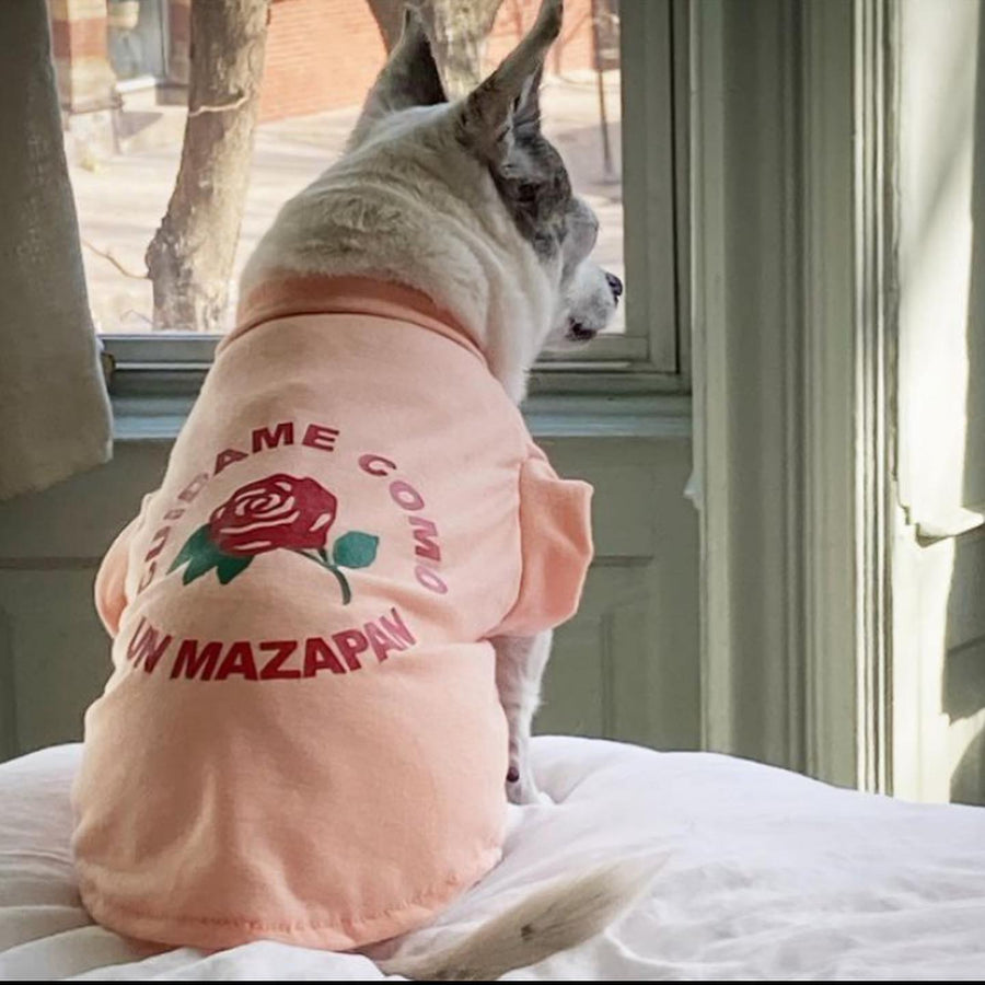 Playera mazapan