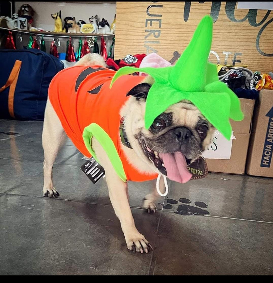 Sombrero Calabaza