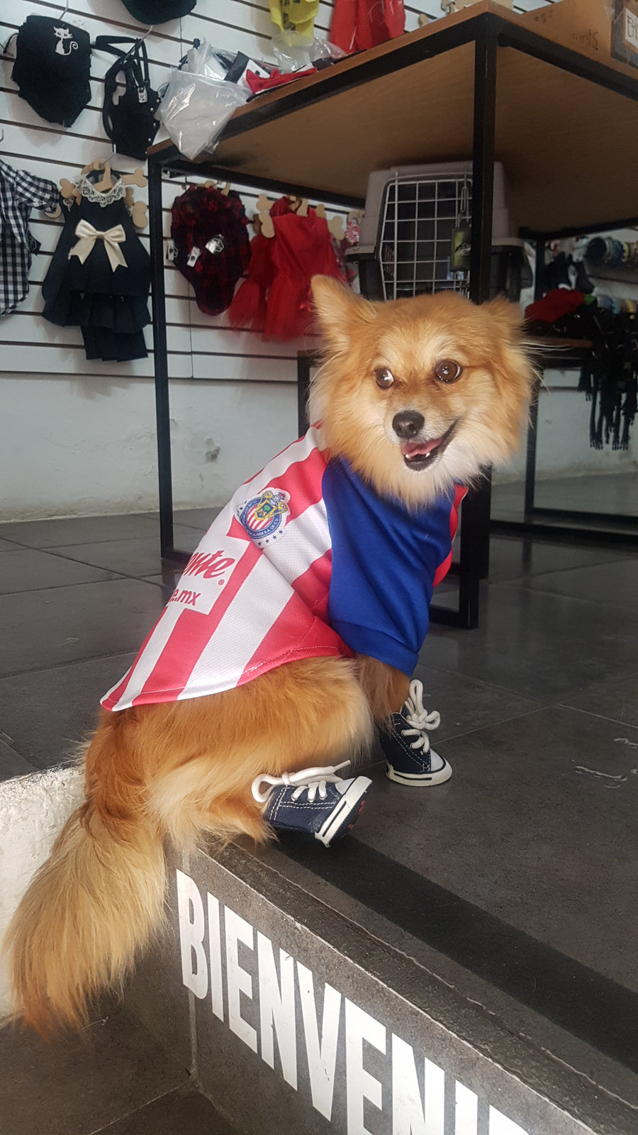 Jersey Chivas