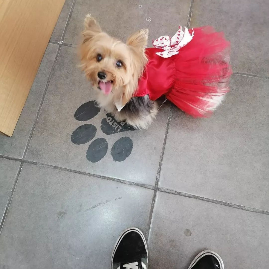 Vestido de perrita San Valentín