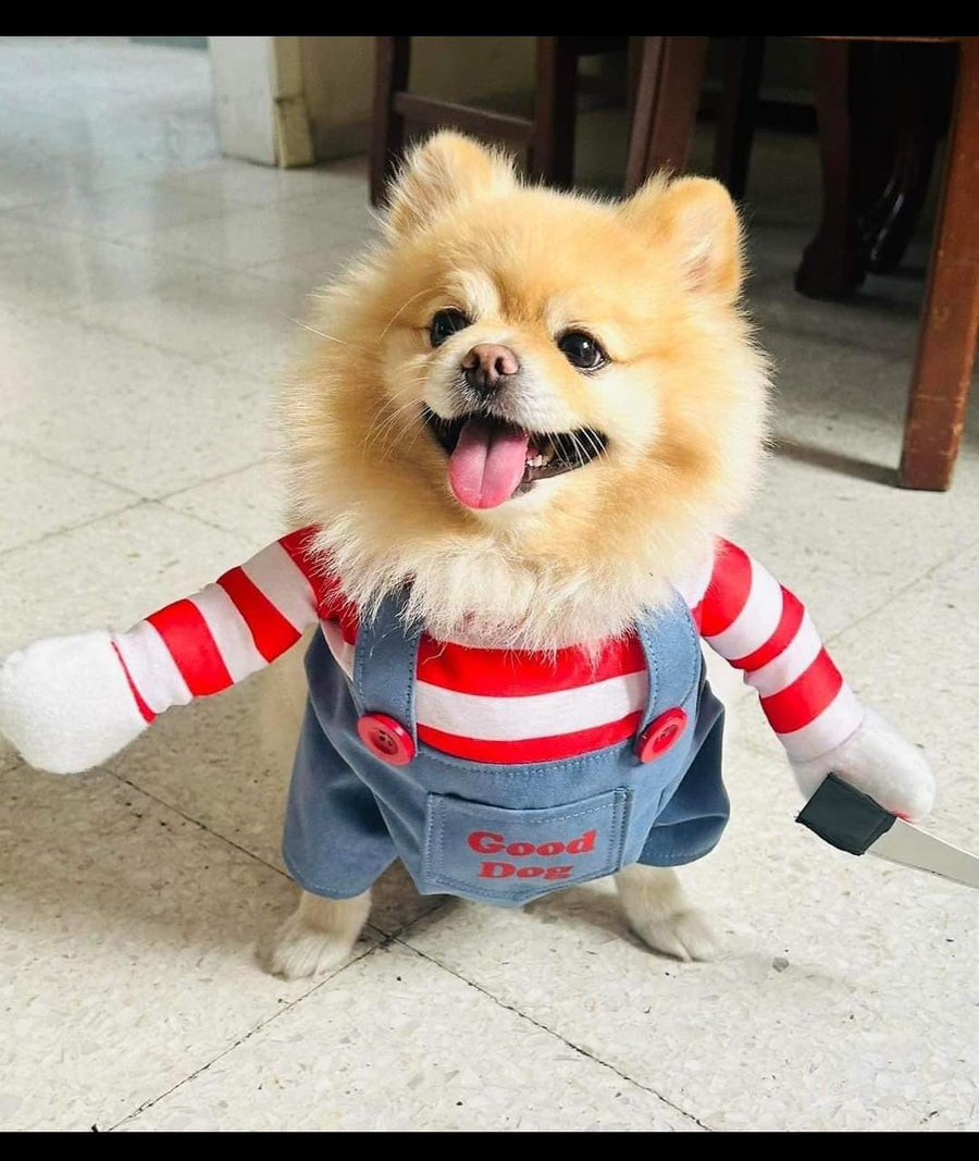 disfraz chucky