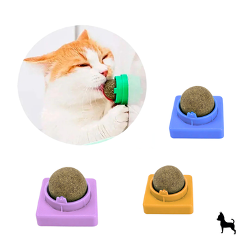 Juguete de catnip para gato