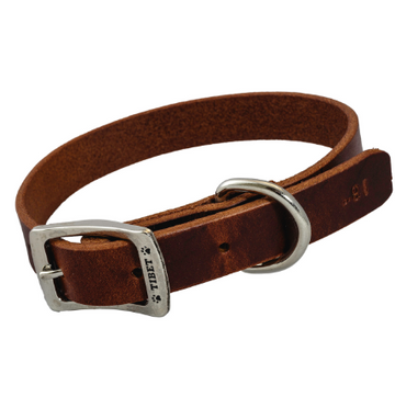 Collar piel liso para perro