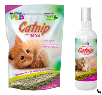 Catnip para gato
