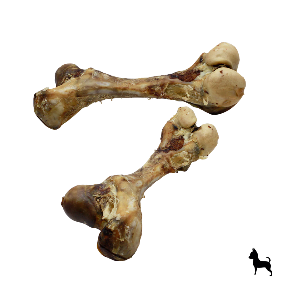 Dogger - Fémur