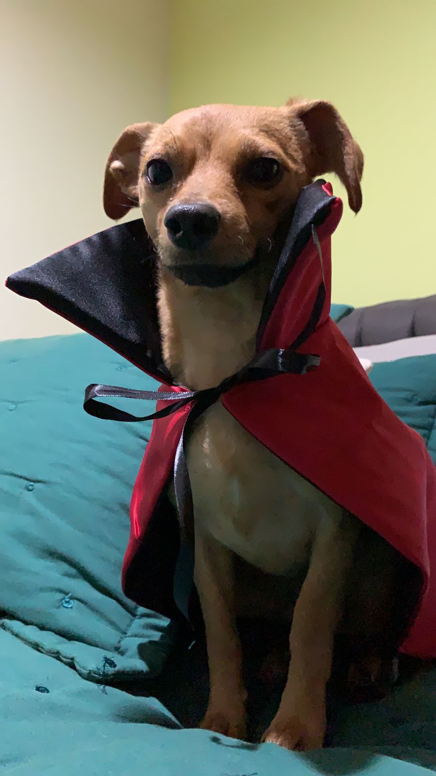Capa de Drácula