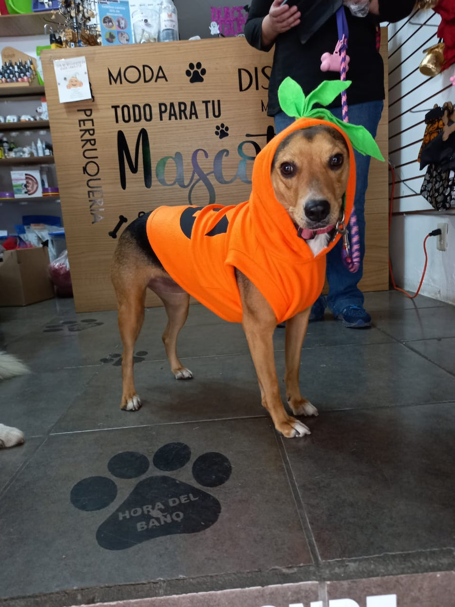 Sudadera de calabaza