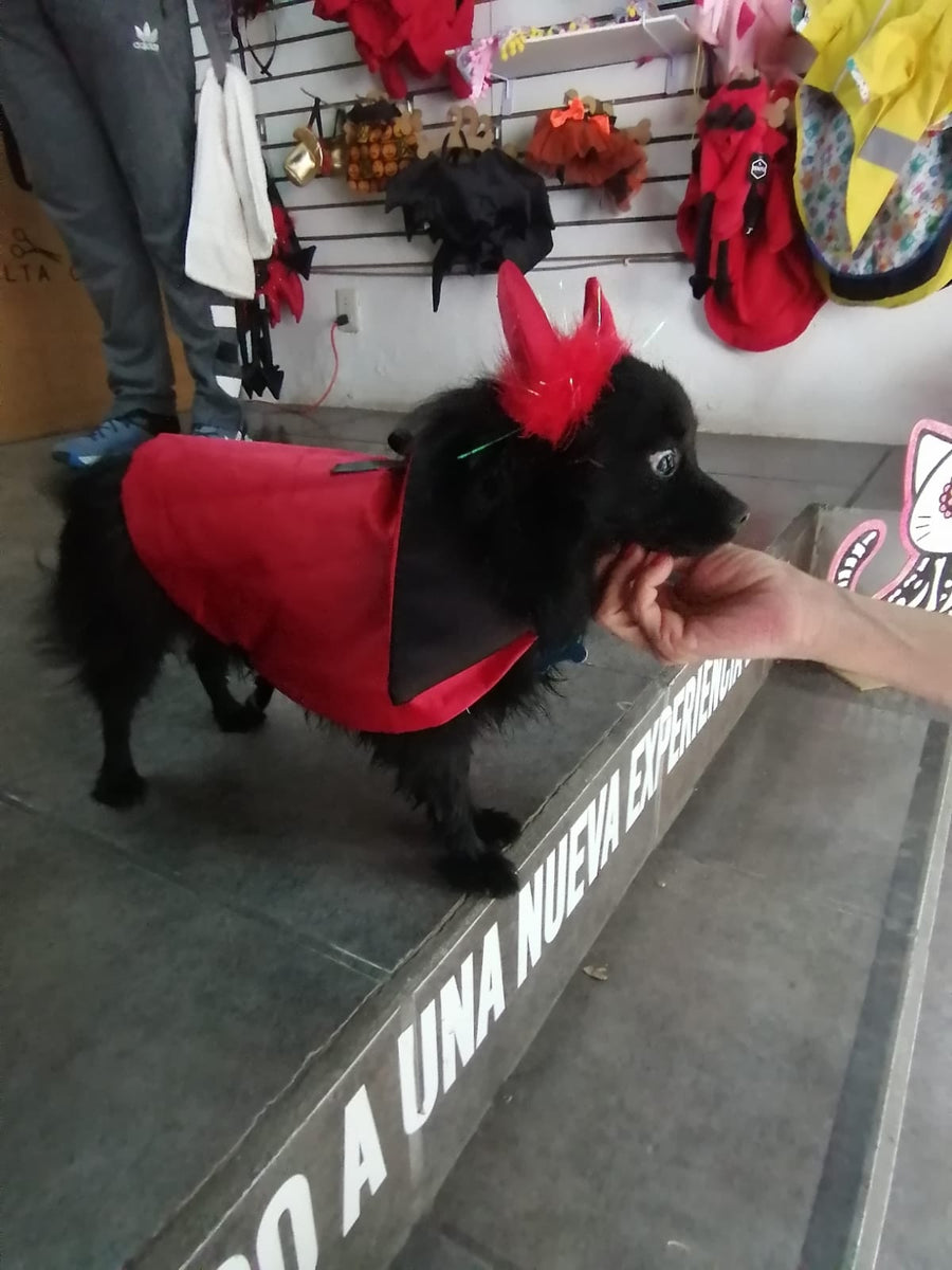 Capa de Drácula
