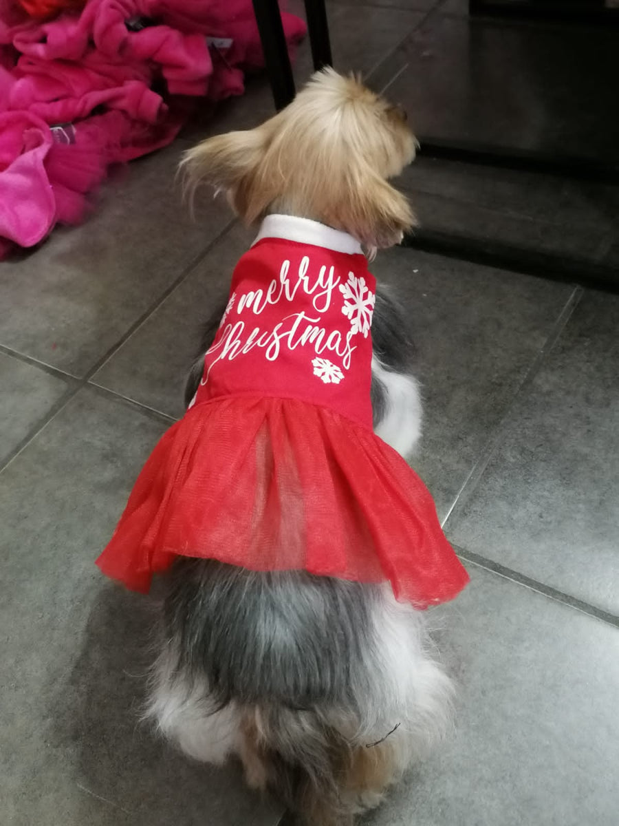 Vestidos de oferta XXS