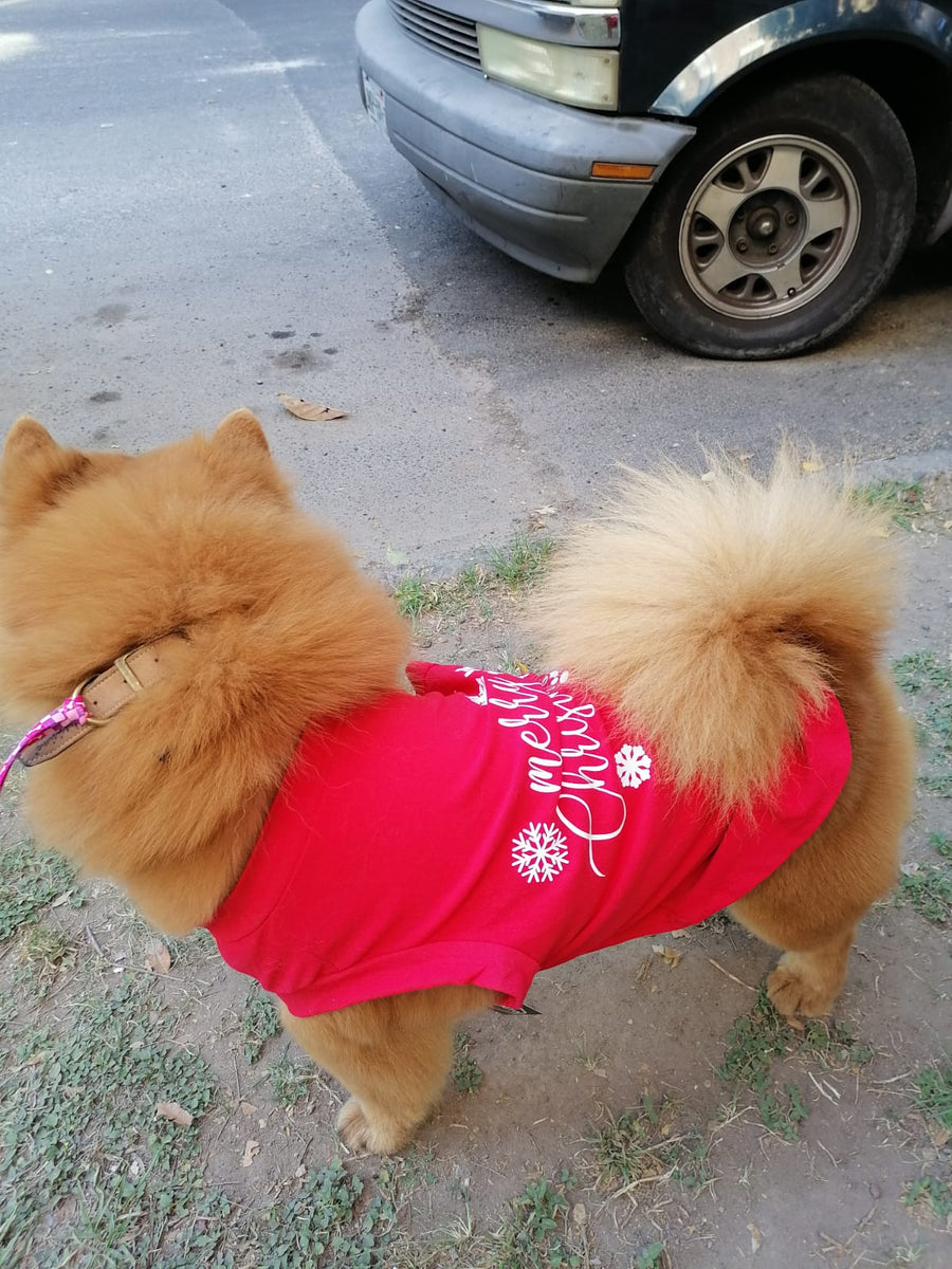 Playera Merry Christmas