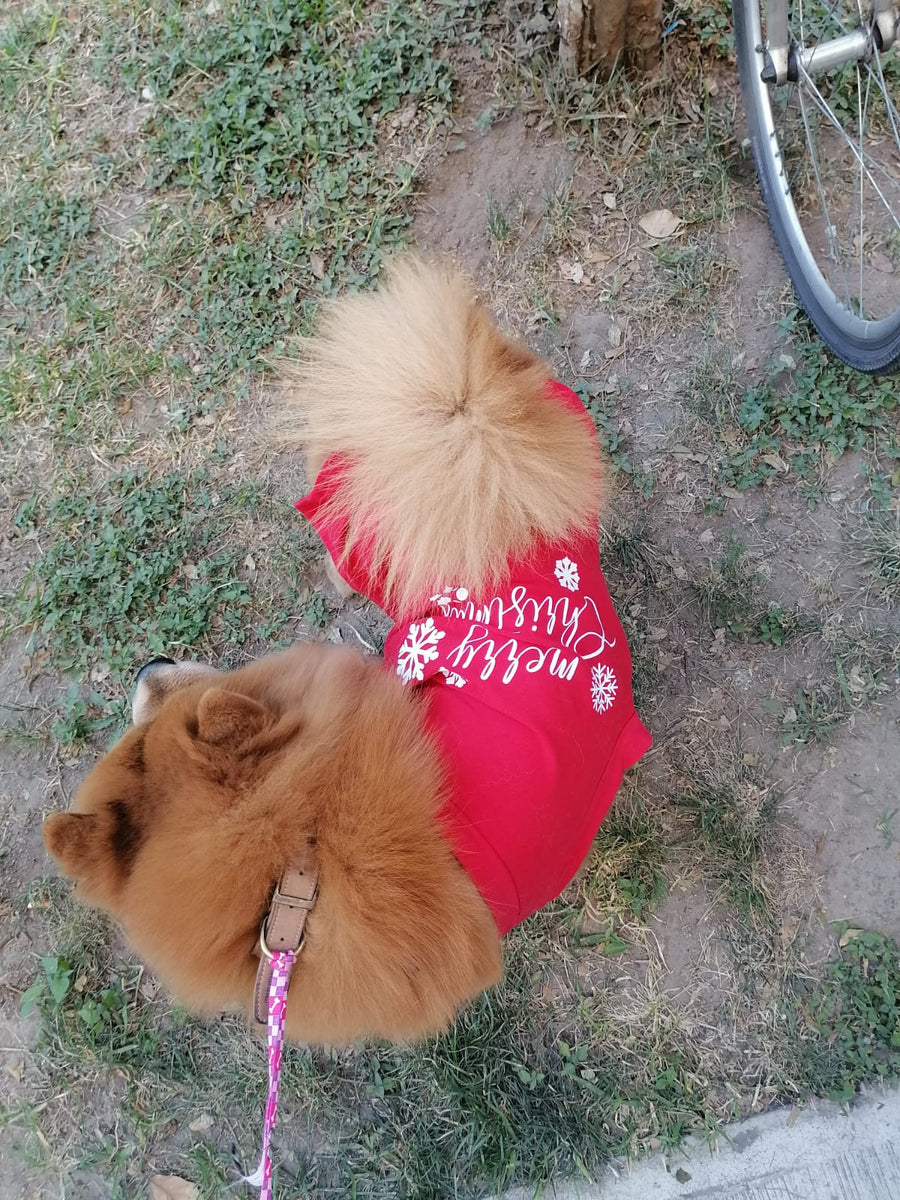 Playera Merry Christmas