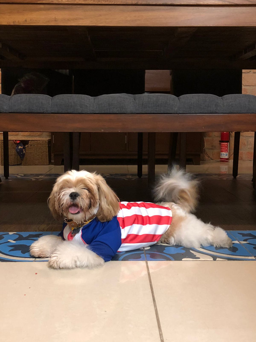 Jersey Chivas