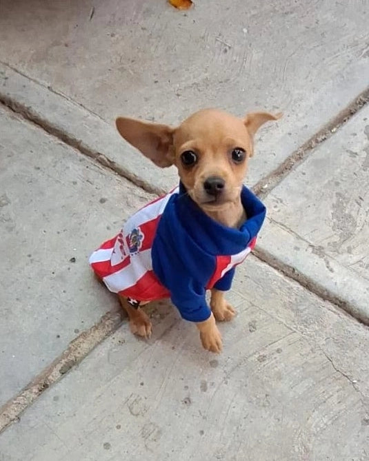 jersey para perros chivas – Benito Moda para tu mascota