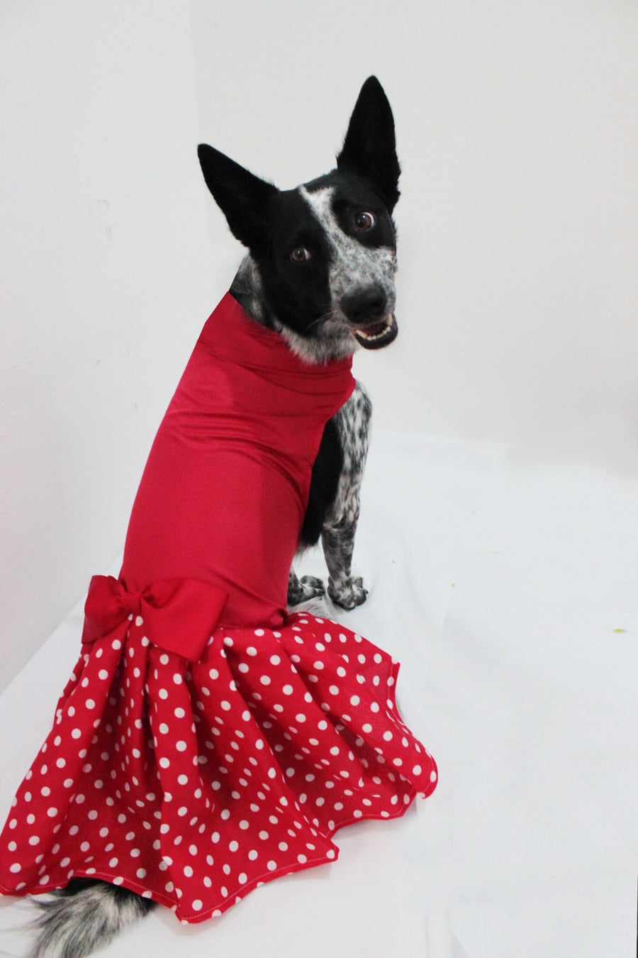 Vestidos de oferta XXS