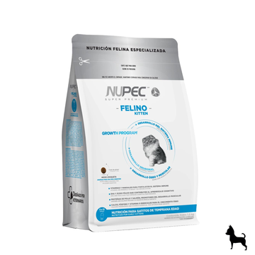 Nupec Felino kitten