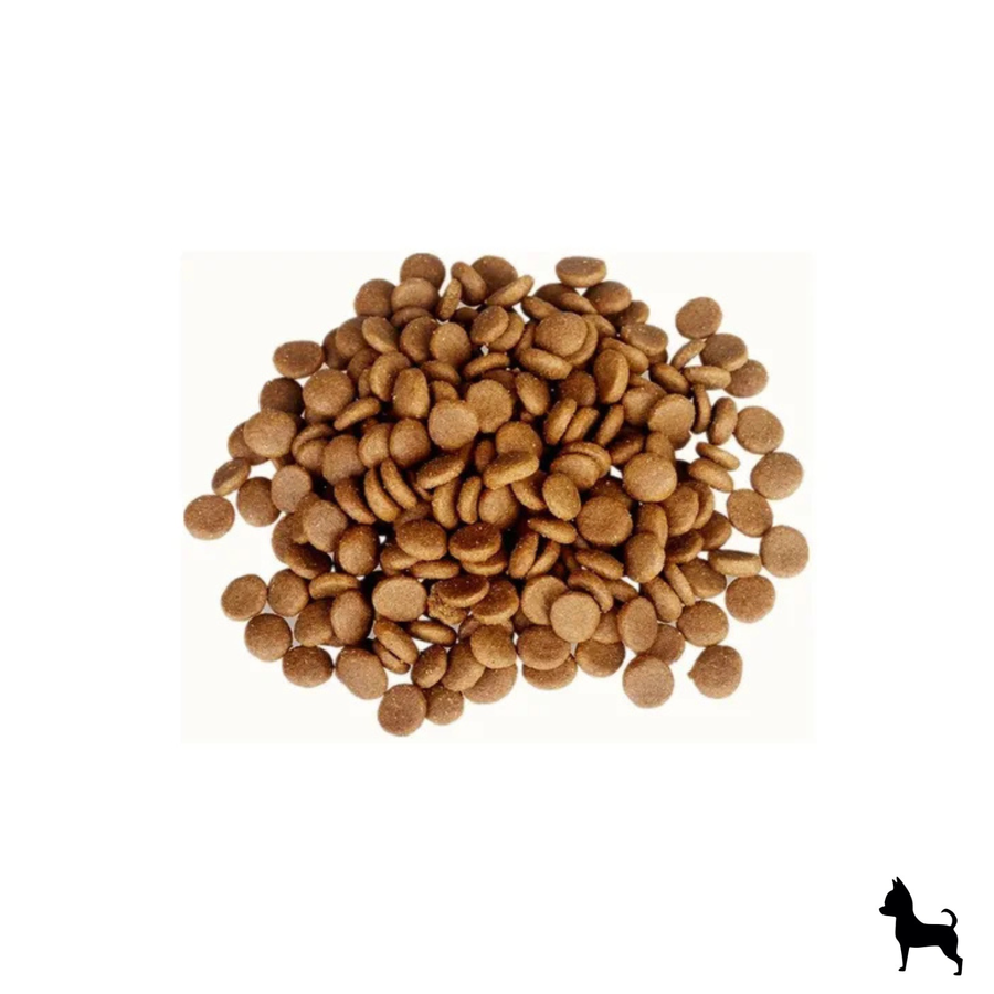 Nupec - Optimo perro cachorro