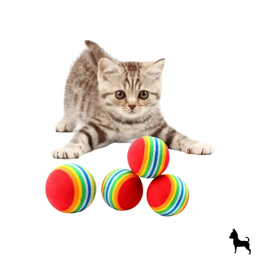 Pelotas para gatos