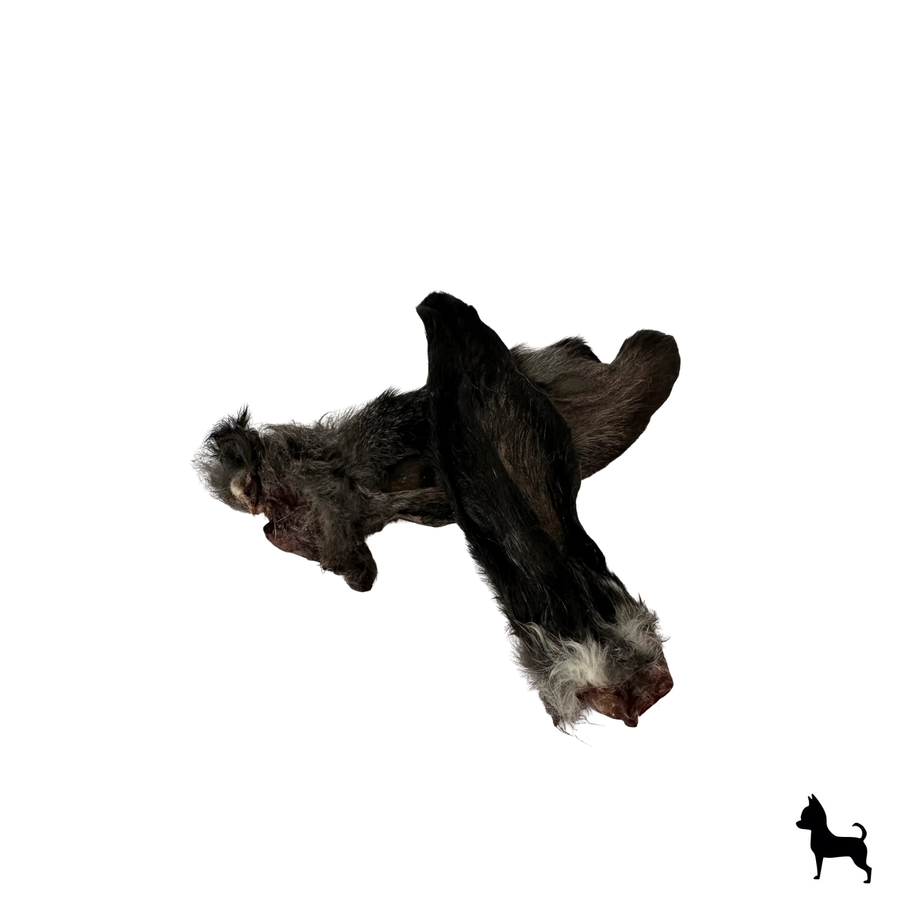 Petlinary - Orejitas de conejo