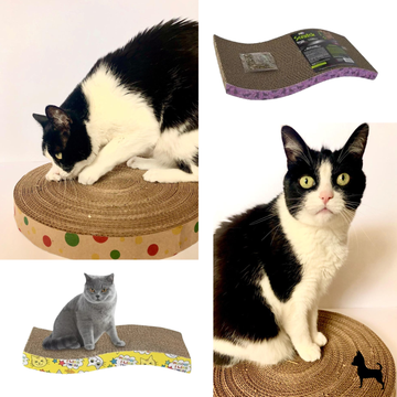 Rascador de cartón para gatos