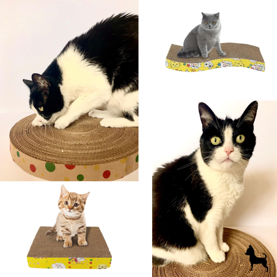 Rascador de cartón para gatos