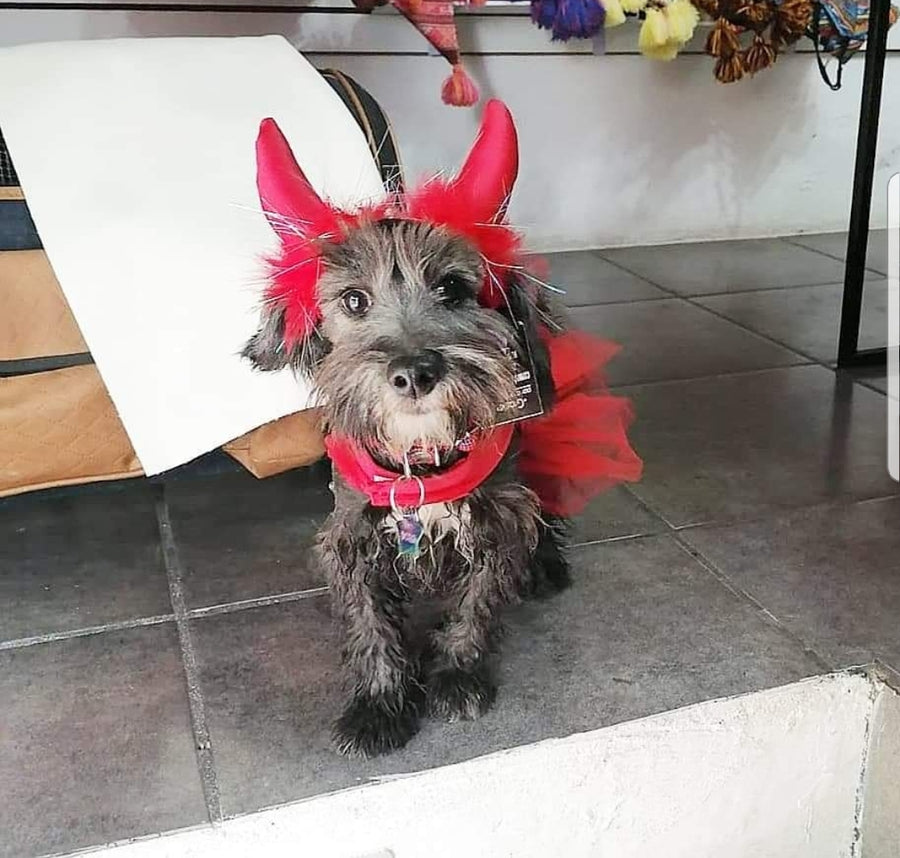 vestido de diablita