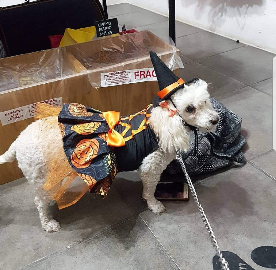 vestido de brujita