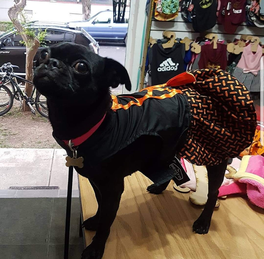Vestidos de oferta XXS