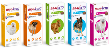 BRAVECTO - Tableta masticable