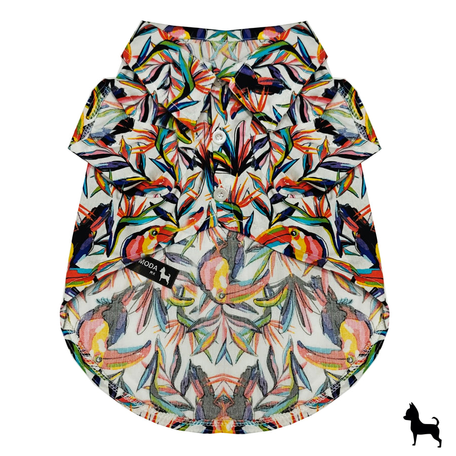 Camisa colores tucan