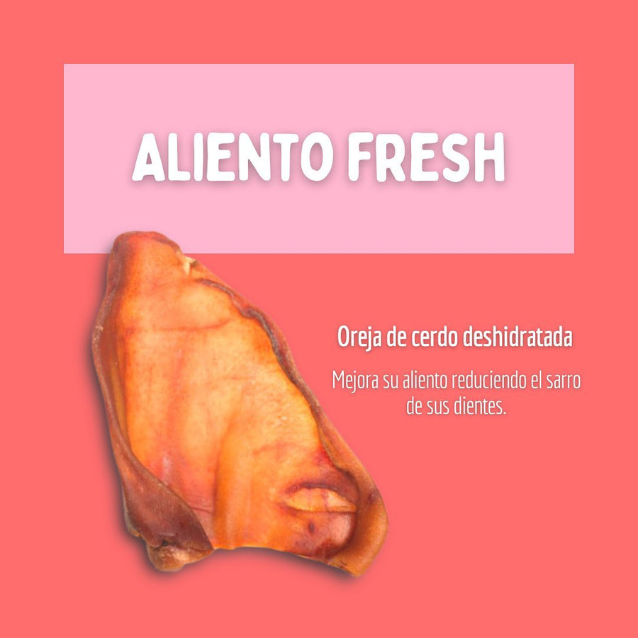 Anti-Sarro - Oreja de cerdo Deshidratada Dogger