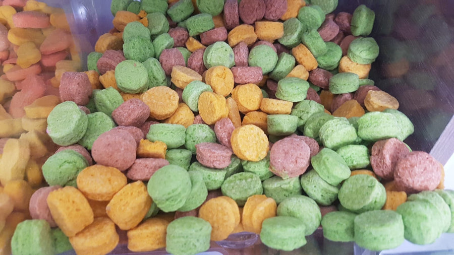 Galletas para perros y gatos