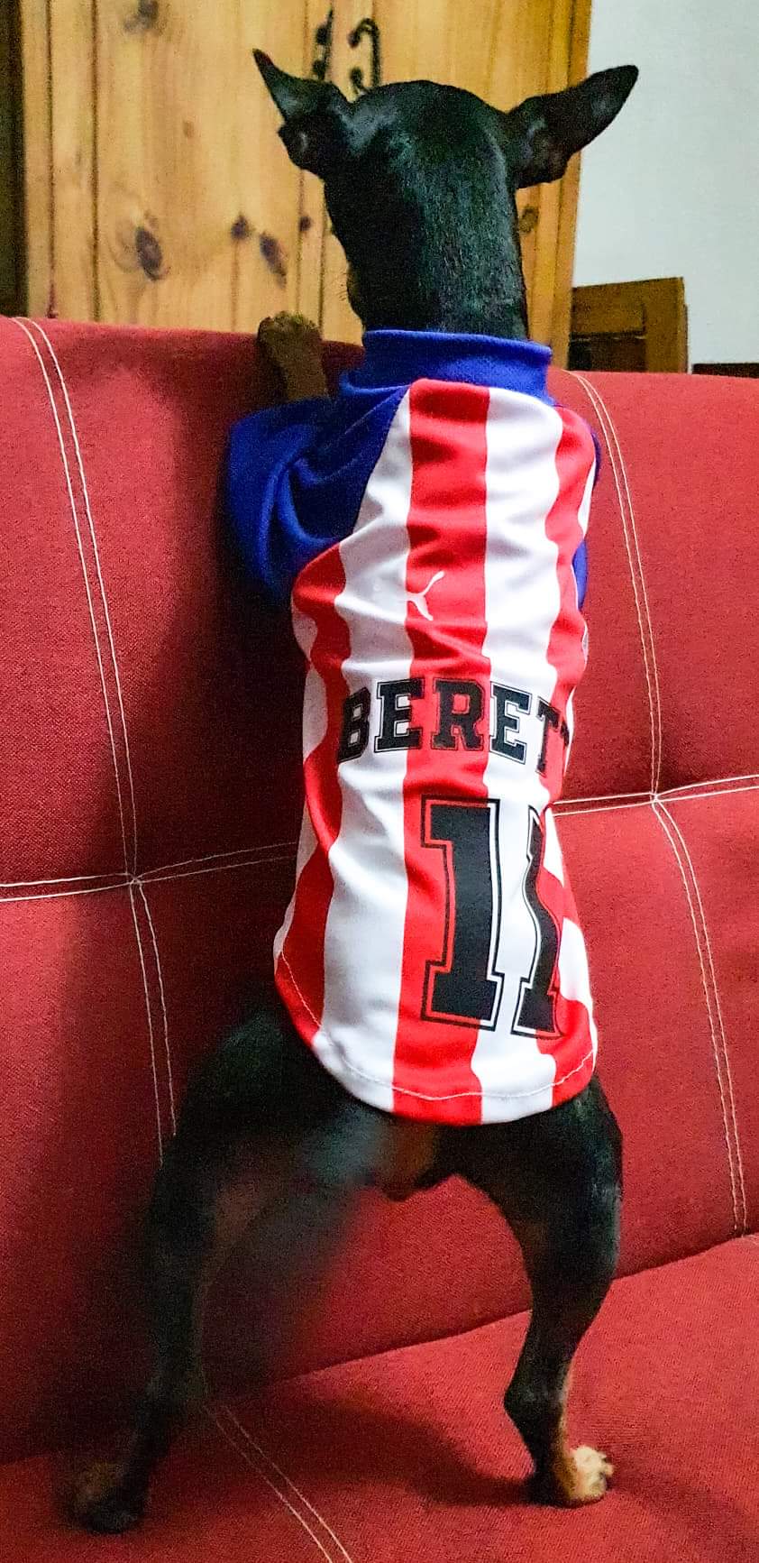 Jersey Chivas
