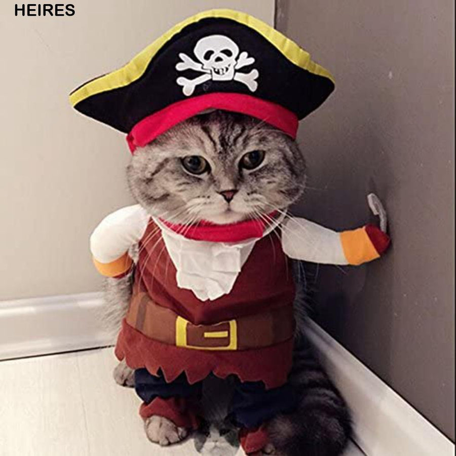 Disfraz pirata importado