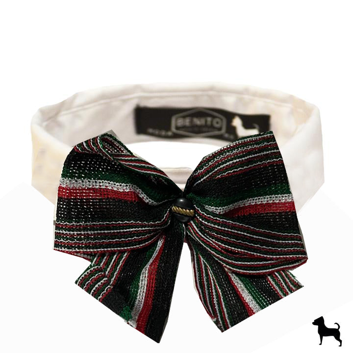 Accesorios para perros, cuello de camisa – Benito Moda para tu mascota